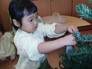 CIMG0078.JPG