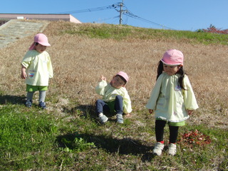CIMG6437.JPG