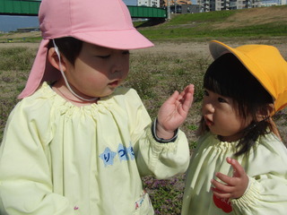 CIMG6574.JPG
