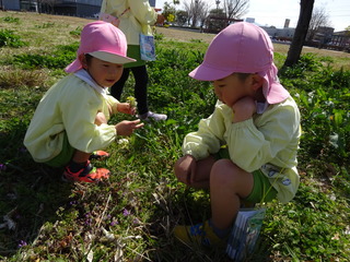 DSC03204.JPG