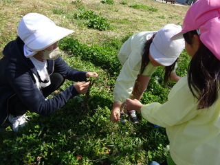 DSC03209.JPG