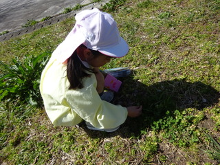 DSC03210.JPG