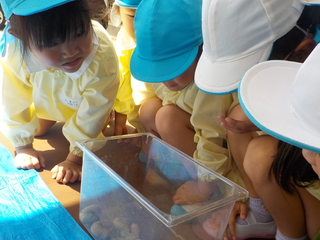 DSCN0490.JPG