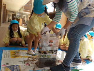 DSCN0493.JPG