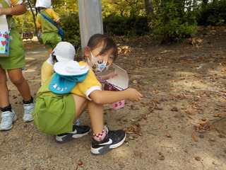 DSCN0765.JPG