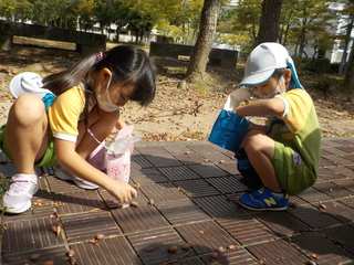 DSCN0775.JPG
