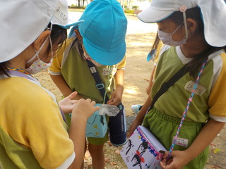 DSCN0795.JPG