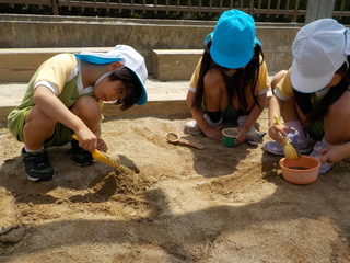 DSCN0806.JPG