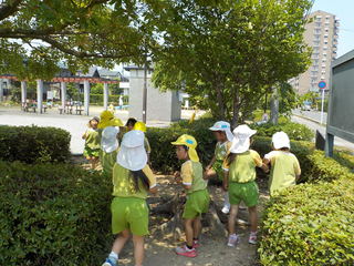 DSCN1348.JPG