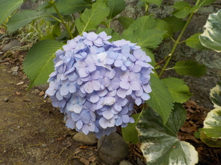 DSCN9523.JPG
