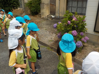 DSCN9544.JPG
