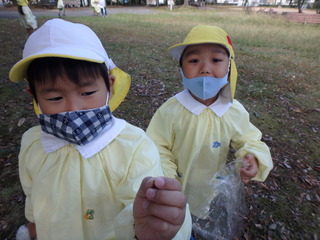 PA231319.JPG